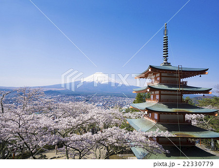 富士山と満開の桜 新倉富士浅間神社 青空 爽やか コピースペース 富士山と満開の桜 新倉富士浅間神社 青空 爽やか コピースペース 22330779