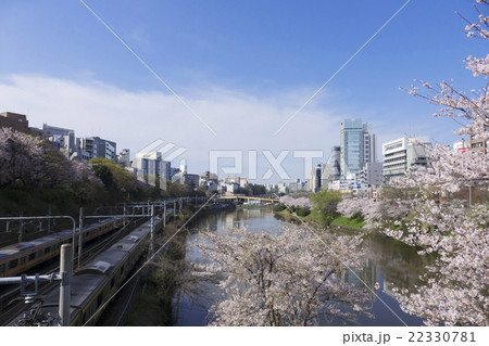 東京の桜名所 外濠公園 新見附橋から望む東京都心の町並み 電車 東京の桜名所 外濠公園 新見附橋から望む東京都心の町並み 電車 22330781