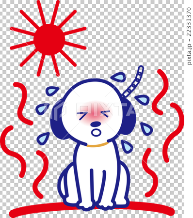 熱帶障礙的狗寵物夏天星期天 22331370