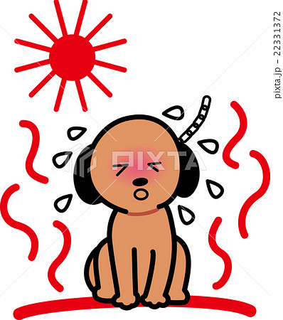 熱中症犬ペット夏お日様 22331372