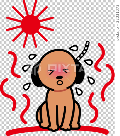 熱中症犬ペット夏お日様 22331372