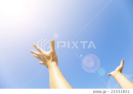 Two hands with the opened palms with sunlight Two hands with the opened palms with sunlight 22331831