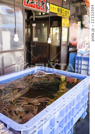 札幌市卸売市場 場外市場(カニのいけす) 札幌市卸売市場 場外市場(カニのいけす) 22332004