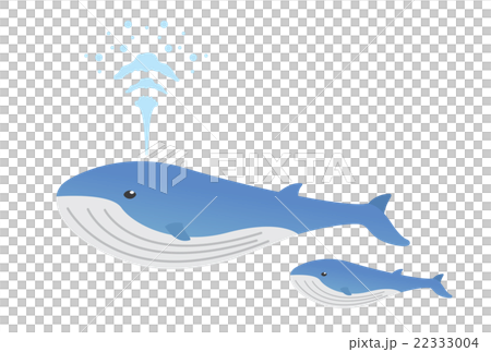 クジラのイラスト素材