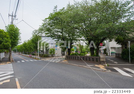 東京散歩 世田谷区深沢三丁目 呑川緑道下山橋の写真素材