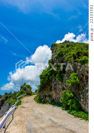 夏雲と坂道 22333502