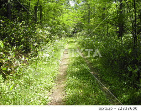 山道 山道 22333600