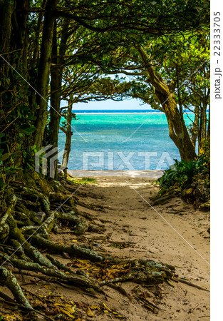 沖縄の海 沖縄の海 22333705