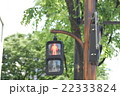 信号機　traffic light 22333824