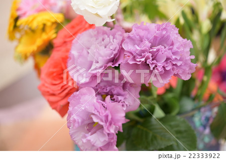 トルコキキョウ 22333922