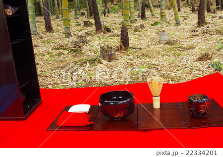 春の竹林での野点 22334201