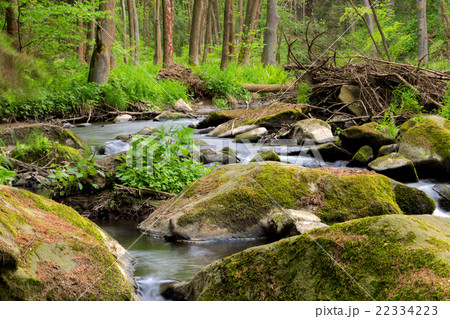 small wild river in Bohemian forest 22334223