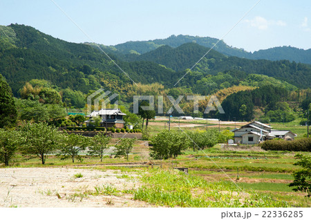 新緑の飛鳥風景 新緑の飛鳥風景 22336285