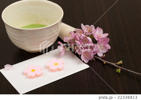 茶道（桜イメージ） 22336813