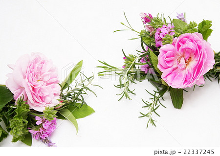 アロマイメージの薔薇とハーブ 22337245