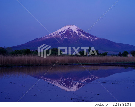 忍野富士 忍野富士 22338103