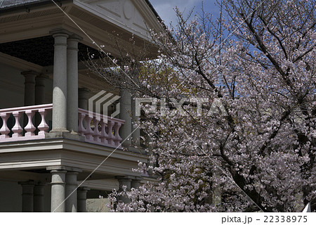 花、桜@南天満公園、大阪市 花、桜@南天満公園、大阪市 22338975