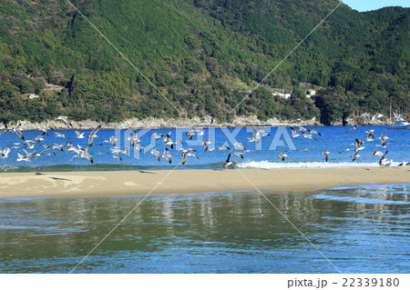 新鹿海岸 新鹿海岸 22339180