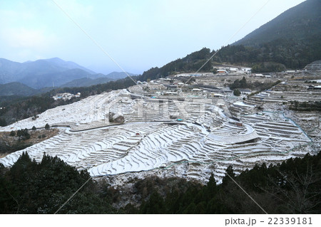 丸山千枚田の雪化粧 丸山千枚田の雪化粧 22339181