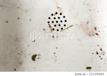 View of the sink, drain and flowing water for 22339462