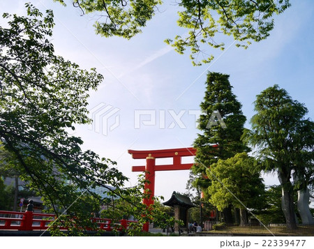 新緑の京都・岡崎 22339477