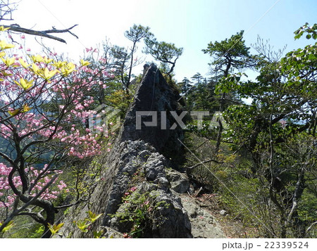 夏木山 22339524