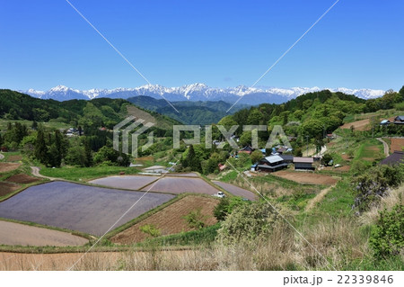 大岡から北アルプス初夏 22339846