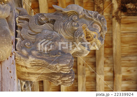 信州　安曇野の古刹　泉福寺　木曽義仲の創建　本堂　木鼻の獅子　立川流の小口直四郎の彫刻 22339924