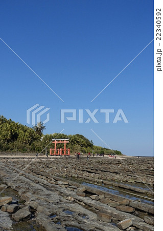 青島神社鳥居の前の鬼の洗濯板と呼ばれる波状岩。宮崎市青島。2016年2月26日 22340592