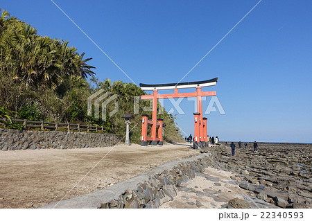 青島の名物・鬼の洗濯板の隣にある青島神社の鳥居。宮崎市青島。2016年2月26日 青島の名物・鬼の洗濯板の隣にある青島神社の鳥居。宮崎市青島。2016年2月26日 22340593