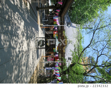 川越　蓮馨寺　タテ 22342332