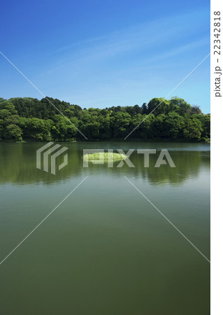 奈良春景色 箸墓青空 奈良春景色 箸墓青空 22342818