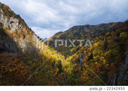 紅葉の山 22342950