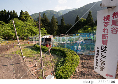 根尾谷断層(中地区の横ずれ断層) 根尾谷断層(中地区の横ずれ断層) 22343106