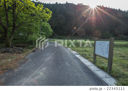 根尾谷断層（金原地区の左横ずれ断層） 22343111