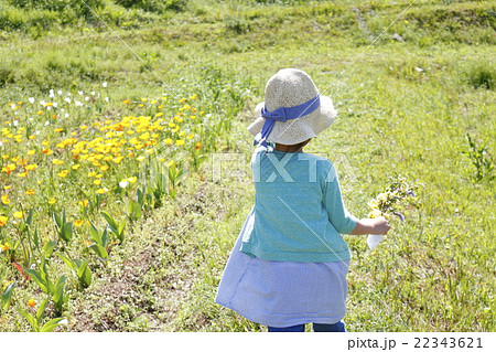 花を持つ少女 花を持つ少女 22343621