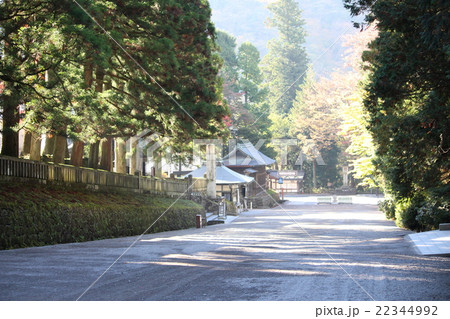 日光東照宮の早朝の参道の写真素材