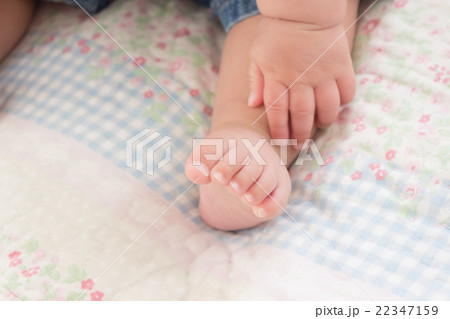 7 months old 22347159