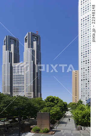 新宿高層ビル街　東京都庁背景　快晴　青空　新緑　緑　春　中央通り　並木 22348148