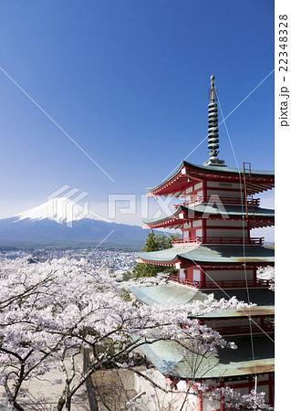富士山と満開の桜　 新倉富士浅間神社　青空 22348328