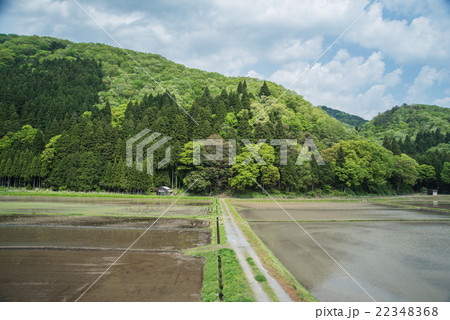 初夏の田園 初夏の田園 22348368