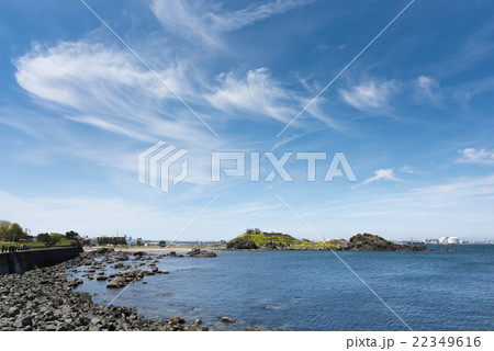 蕪島 蕪島 22349616