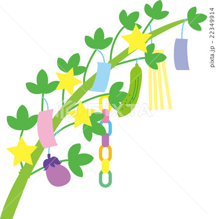 七夕まつり笹飾り短冊 22349914