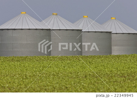 Agriculture Storage Bins Granaries 22349945