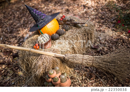 ハロウィン 22350038