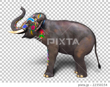 elephant  22350154