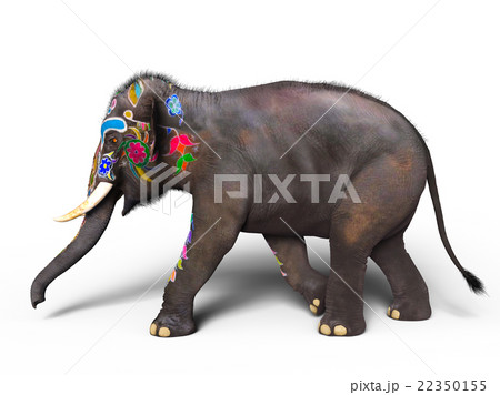 ゾウ 22350155