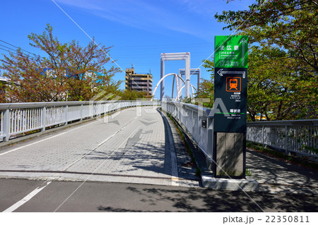 環状夢の橋 環状夢の橋 22350811