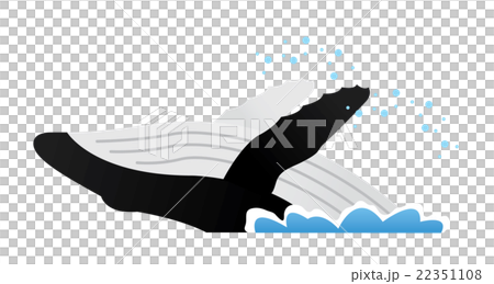 鯨魚 鯨魚 22351108