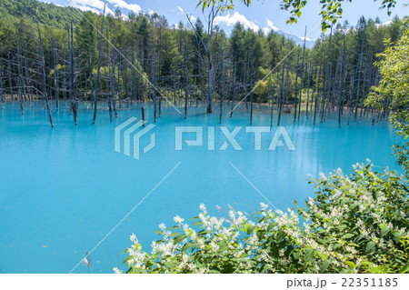北海道 青い池 北海道 青い池 22351185